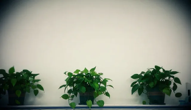 技术适配方案的使用条件与选择依据